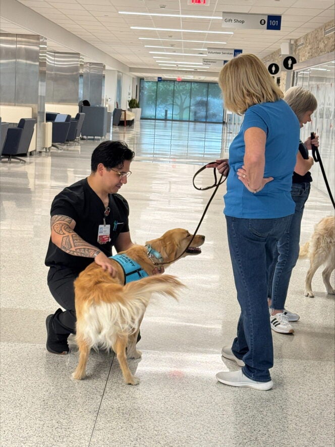 Canine Companions